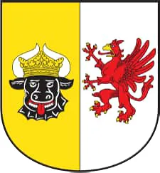 Antwortmöglichkeit 4