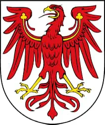 Antwortmöglichkeit 1